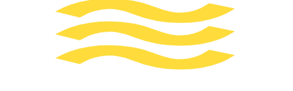 Logó tervezés honlap készítés Pécs, honlap készítés, weblap készítés, weblap készítés Pécs, weboldalkészítés, weboldalkészítés Pécs