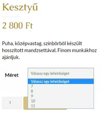 weblap készítés, weblap készítés Pécs, honlap készítés, honlap készítés Pécs