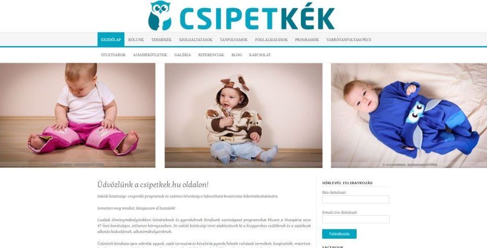 WordPress, wordress Pécs, wordpress honlapkészítés, wordpress weblap készítés, wordpress honlap, wordpress weblap, wordpress keresőoptimalizálás, wordpress SEO