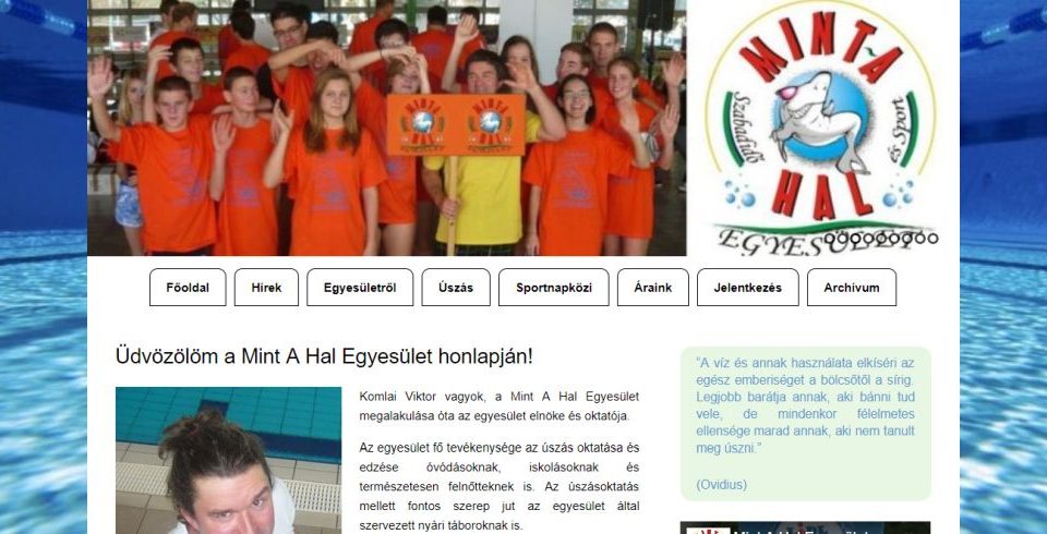 honlapkészítés, weblapkészítés, weboldalkészítés, honlap készítés, weblap készítés, weboldal készítés
