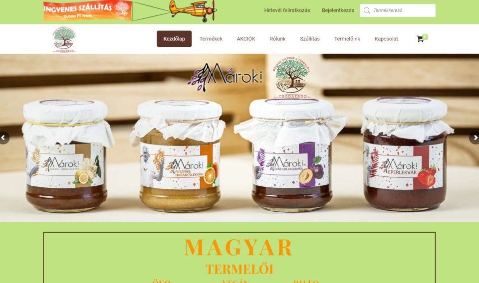 webáruház, webáruház Pécs, webáruház készítés, webáruház készítés Pécs, webshop készítés, webshop készítés Pécs
