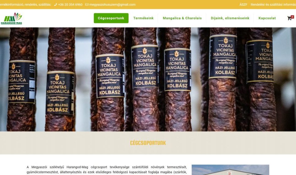 webáruház, webáruház Pécs, webáruház készítés, webáruház készítés Pécs, webshop készítés, webshop készítés Pécs