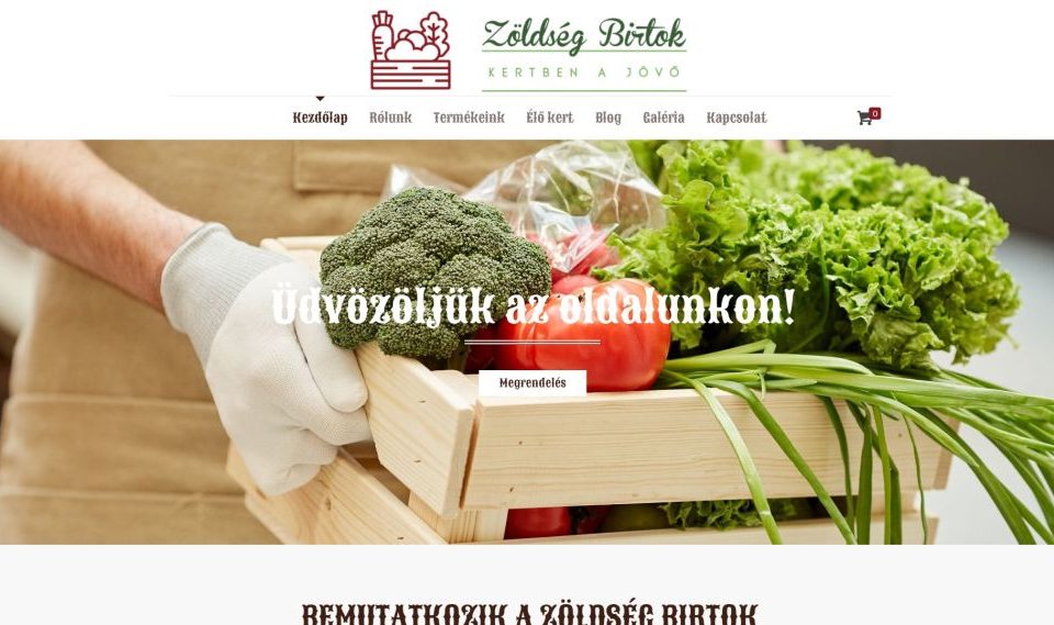 webáruház, webáruház Pécs, webáruház készítés, webáruház készítés Pécs, webshop készítés, webshop készítés Pécs